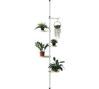 In And OutdoorMatch Étagère pour plantes Nana - Support pour plantes avec 4 étagères - Télescopique - Pour l'intérieur