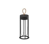 In Vitro Unplugged Battery Lampe / Lampe de table Flos Noir - 8059607500538