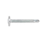 Index Vis autoperceuse TAEZ4213 – Tête cylindrique basse, zingué, empreinte Ph 4,2×13 500 pcs