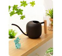 Indoorgieter - RVS Bonsai Gieter avec poignée en bois - 1,2L - noir