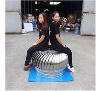 Industrial Scientific Rotating Roofing Wind Turbine Ventilator Vents Cap | For Houses Factory Farm,304 Stainless Steel Roof Mounted Attic Ventilator(500mm/19.6 in)