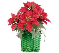 Infactory Composition florale de Noël avec poinsettias et panier tissé