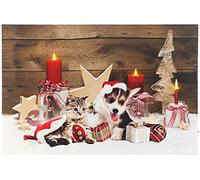 Infactory Tableau de Noël à 3 LED avec des bébés animaux 60 x 40 cm
