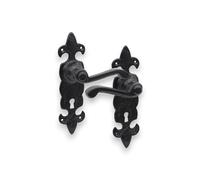 Infinity Decor Paire de poignées de porte à levier en fonte avec serrure à clé Motif fleur de LYS Noir antique