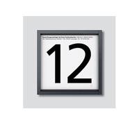 Informationsmodul IM 612-0 AG anthrazitgrau (210004927-00)