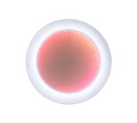 Ingo Maurer MoodMoon Round 60 Applique Murale Blanc