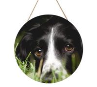 InOmak Border Collie Animaux de compagnie Herbe Border Collie noir, Tableau rond sur panneau de bois de 30 cm, à accrocher au mur pour la maison