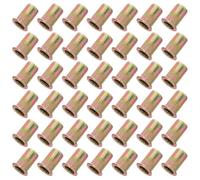 INOOMP 100 Écrous à Riveter Filetés M6 en Zinc Ferrite Tête Plate, Texture Cannelée et Rainure Colonne, pour Électronique et Machines, Pack de 100 Pièces