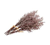 INOOMP 3 Bouquets de Branches de Gypsophile Séchées Rouge, Fleurs Séchées pour Bouquet, Longue Conservation et Facile à Transporter, Décoration Familiale Élégante