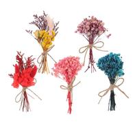 INOOMP Bouquet de Fleurs Séchées Lot de Mini Bouquets Mini Fleurs Séchées Décoration Intérieure et Photo Présent pour Décoration de Mariage