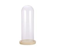 INOOMP Cloche à Dôme de Verre avec Socle en Bois, Anti-poussière | Fleurs Séchées et Petites Décorations, Usage Boutique ou Chambre, Design Unique, Texture