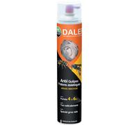 Insecticide ANTI-GUÊPES FRELONS ASIATIQUES - Aérosol 750 mL DALEP - 1.07.0055.14
