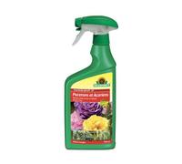 Neudorff Insecticide Spruzit AF Pucerons et Acariens - Combat les pucerons et les cochenilles sur les fleurs et les plantes vertes, prêt à l'emploi, 750 ml