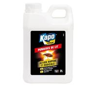 Insecticide Punaises de Lit - Action Rapide et Radicale - Tue par Contact - Techniques Professionnelles - 2 L