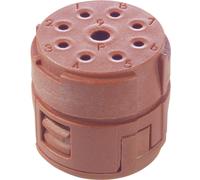 Insert 8+1 pôles EPIC® SIGNAL M23 P LAPP 73002736 5 pc(s)