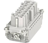 Insert femelle HC-B Phoenix Contact HC-B 16-I-PT-F 1407731 Nbr total de pôles 16 + PE 1 pc(s)