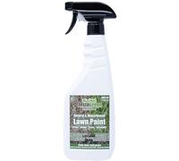 InstaGreen Vaporisateur de peinture pour gazon de qualité supérieure - 500 ml - Prêt à l'emploi pour les pelouses et les haies - Peinture de pelouse contre l'herbe jaune - Naturellement à base d'eau