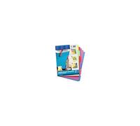 Elba Intercalaires carton neutres A4 – 6 touches multicolore – carte lustrée 450 g