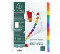 Intercalaire A4 carte bristol blanc Exacompta 12 onglets mensuels - Coloris assortis - 1 jeu