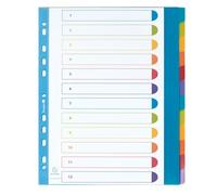 Intercalaire A4+ polypropylène coloré opaque Exacompta 12 onglets neutres réinscriptibles multicolores - 1 jeu