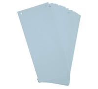 Exacompta Intercalaires horizontales unies perforées Forever – 105 x 240 mm – Paquet 100 Bleu clair
