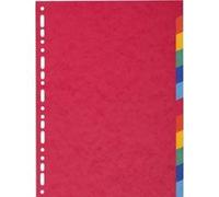 Exacompta 25x Intercalaires 225g 12 positions A4 Couleurs assorties 1412E