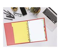 Intercalaires neutres A4 12 positions carte forte 160g assorti