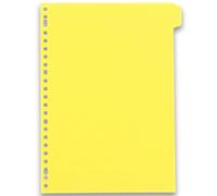 Intercalaires neutres A4 12 positions carte lustree 5/10 assorti