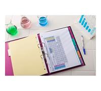 Intercalaires neutres A4 6 positions carte forte 225g assorti