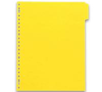 Intercalaires neutres A4+ 6 positions carte lustree 5/10 assorti