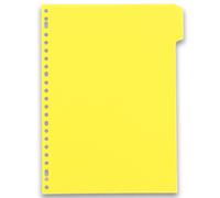Intercalaires neutres A4 6 positions carte lustree 5/10 assorti