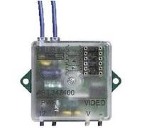 Interface caméra BTICINO coaxiale / 2 fils pour caméras vidéo externes, dimensions : 41 x 41 x 19 mm, 1 pièce.