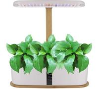 Intérieur Intelligent Hydroponique, 10 Dosettes Système de Culture Hydroponique avec Lampe de Plante, Hauteur Réglable