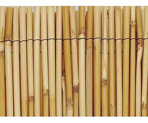 INTERMAS GARDENING Brise Vue H1xL5m en tiges de roseaux naturels Reedcane
