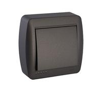 Interrupteur 2 pôles en saillie - Noir graphite -