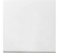 Interrupteur à bascule Gira simple Gira 0296112 blanc pur, 1 pièce.