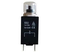 Interrupteur à bouton-poussoir de protection thermique RB2, protecteur de surcharge, protecteur de surintensité, disjoncteur CA 250 V(10A)