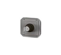 Legrand Interrupteur à clé Ronis Plexo 069534L 2 positions étanche gris
