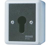 Interrupteur à clé 806.28G (806.28G)