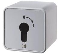 Interrupteur à clé Hager AP WDE4466 pour demi-cylindre profilé moulé sous pression IP44