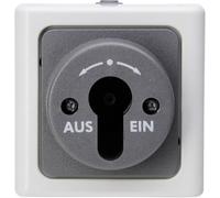 Interrupteur à clé Kopp 561756017 BlueElectric gris