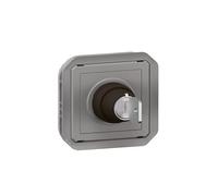 Legrand Interrupteur à clé Ronis Plexo 069534L 2 positions étanche gris