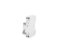 Disjoncteur différentiel 2P B 10A 0,03A Type AC 6kA 30mA SENTRON 5SV1316-0KK10
