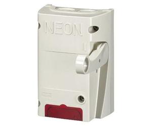 Interrupteur Bipolaire 16a Néon Coupure Bipolaire Avec Témoin Lumineux Néon - Legrand