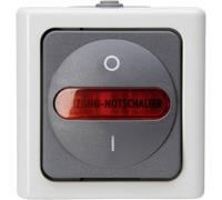 Kopp Blue Electric Interrupteur principal de chauffage en saillie Interrupteur d'urgence
