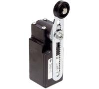 Interrupteur de fin de course Pizzato Elettrica FR 556-M2 250 V/AC 6 A levier pivotant à galet à rappel IP67 1 pc(s)
