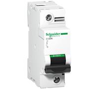 Interrupteur de surintensité 1P B 100A 10kA AC C120N A9N18342