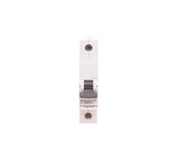 Interrupteur de surintensité 1P C 10A 6kA AC S301 SRX3 419200