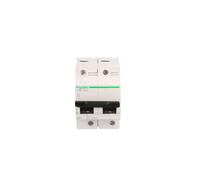 Interrupteur de surintensité 2P C 80A 10kA AC C120N A9N18361