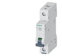 Interrupteur de surintensité 5SL B 2A 1P 1M 6KA 5SL6102-6